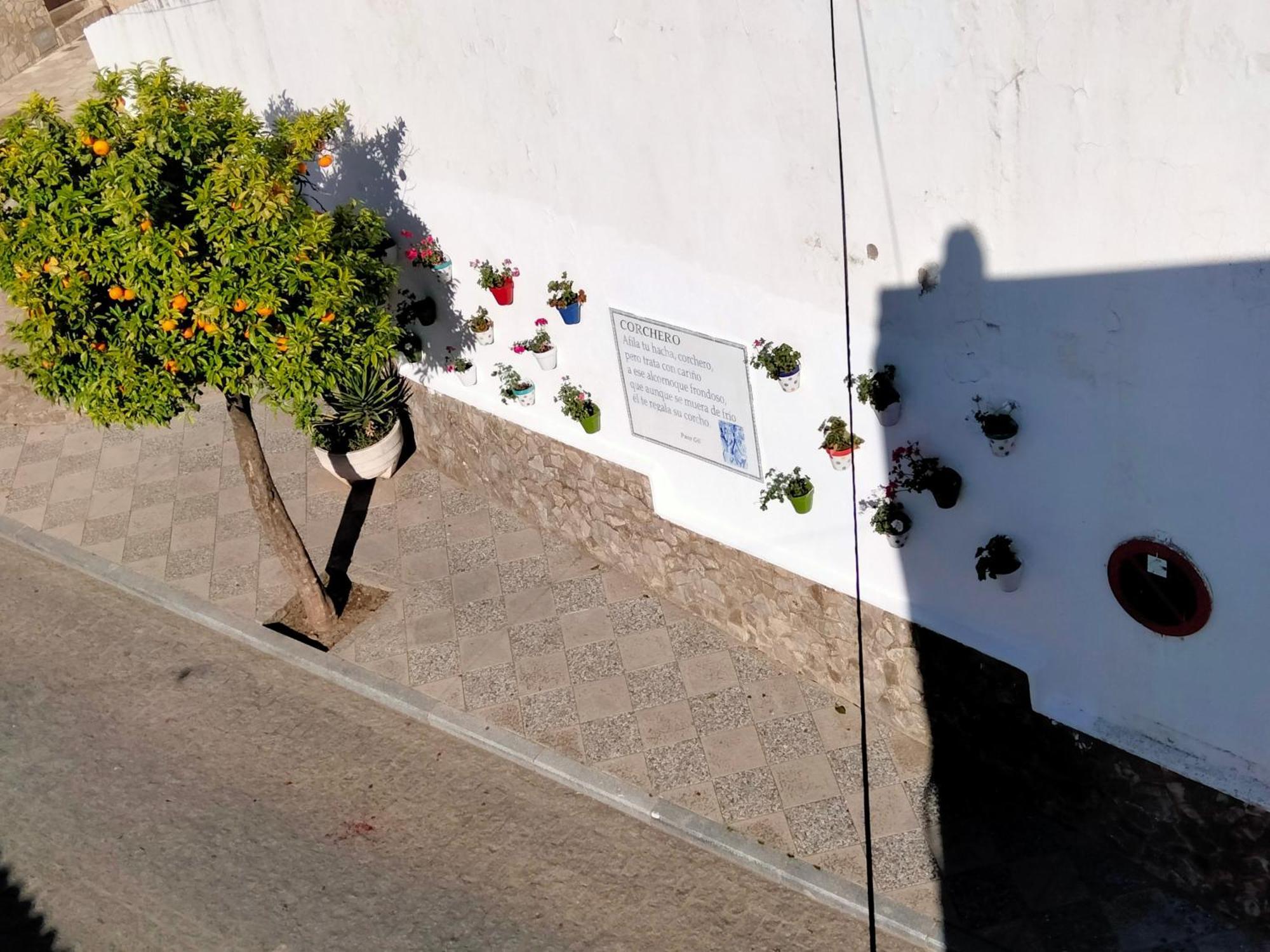 Alcalá de los Gazules Casa Vistaヴィラ エクステリア 写真